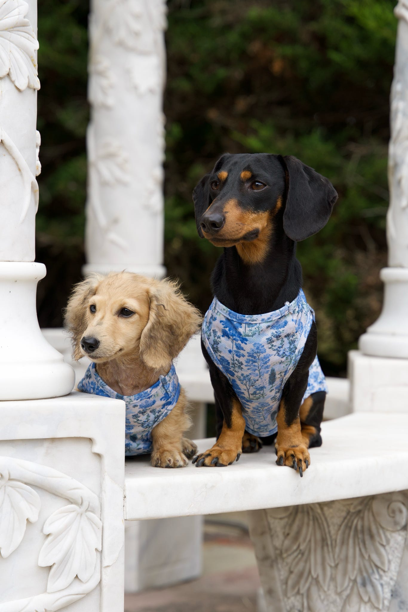 Whispering Willow - Cooling Vest
