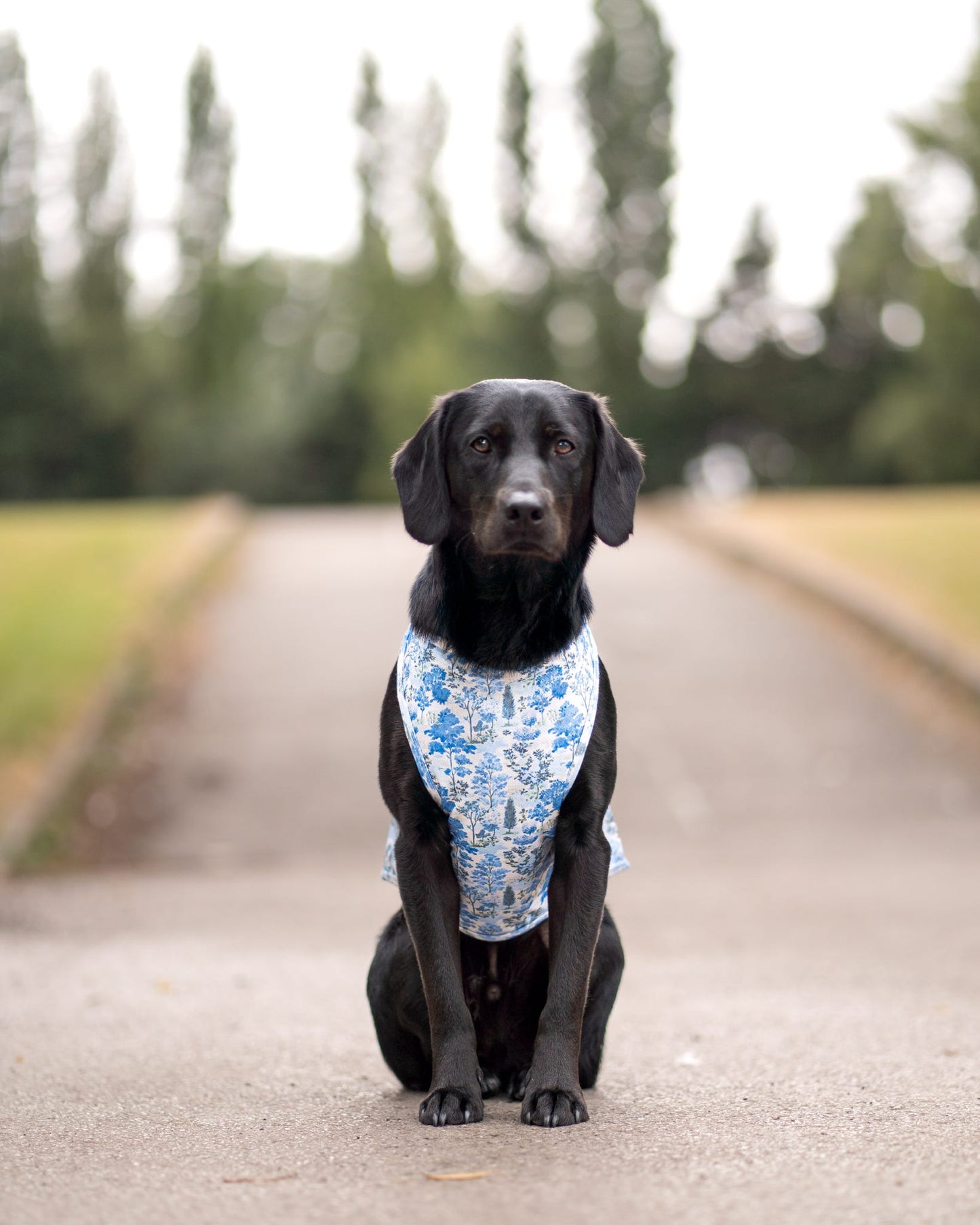 Whispering Willow - Cooling Vest