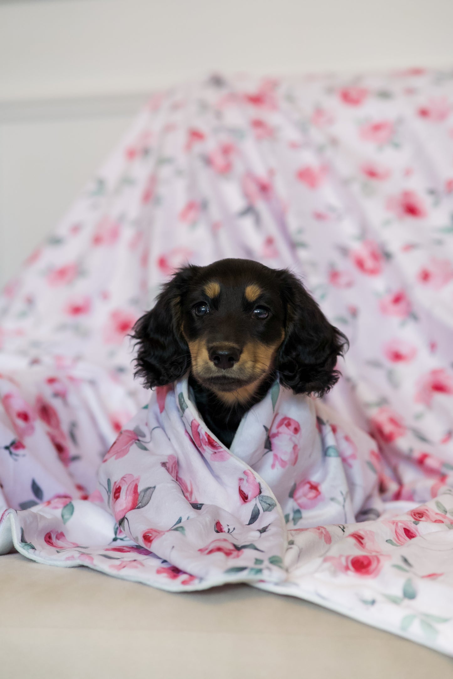 Rustic Roses - Snuggle Sized Blanket