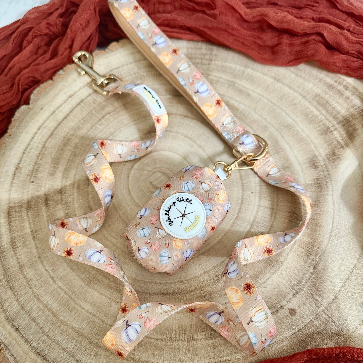 Harvest Hues - 4ft Lead