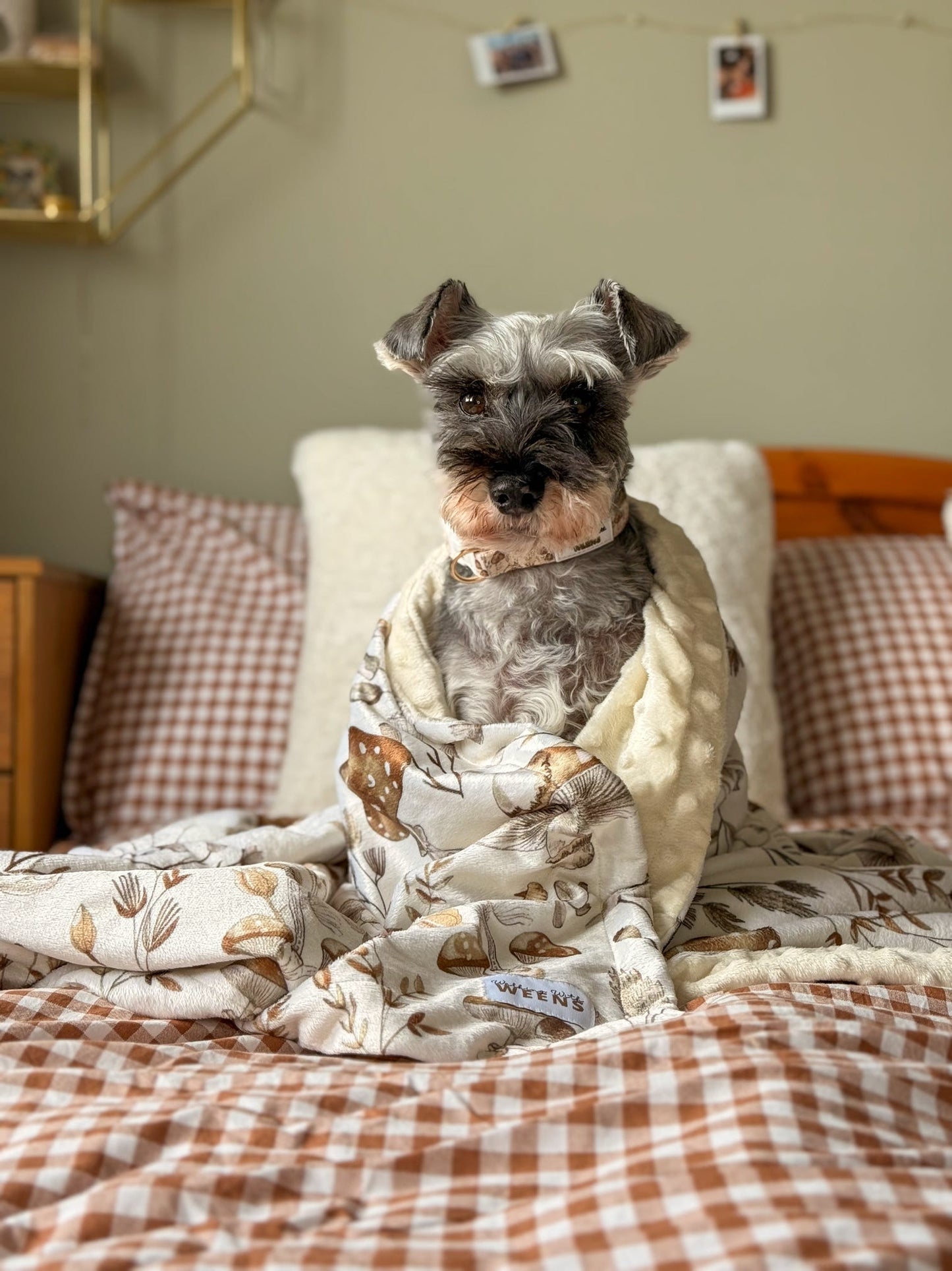 Sepia Shrooms - Snuggle Sized Blanket