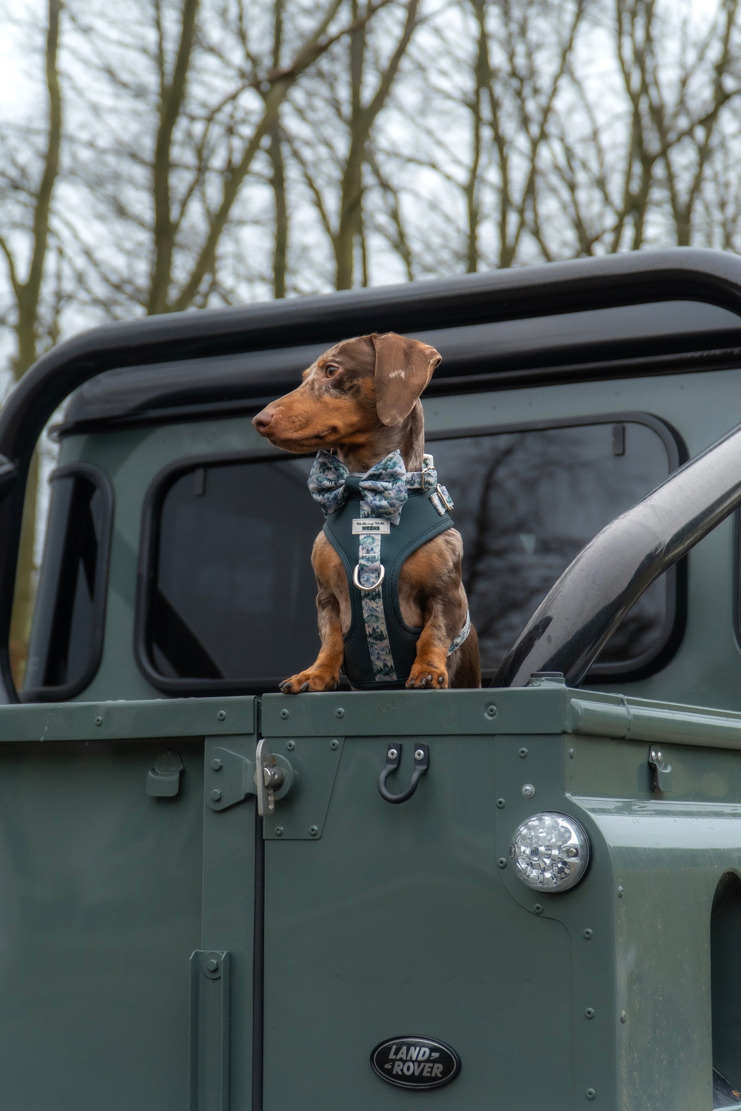 SECONDS - Hidden Highlands - Adjustable Harness