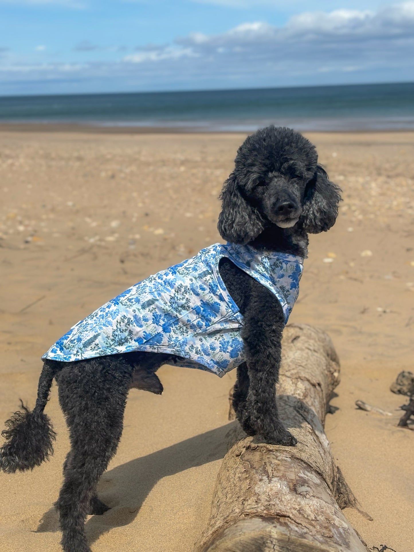 Whispering Willow - Cooling Vest