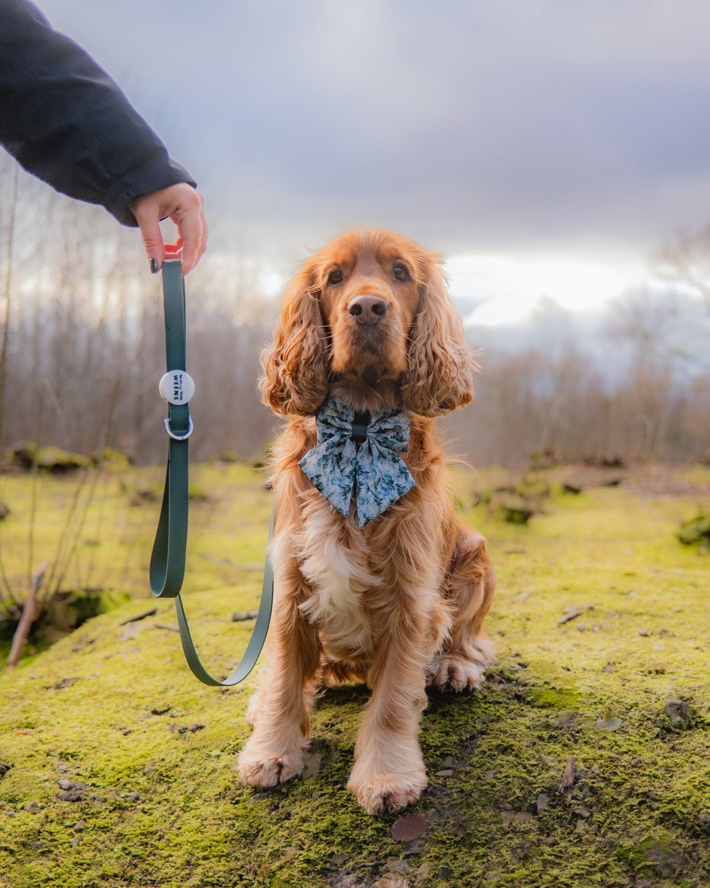 Alpine Green - Waterproof Lead