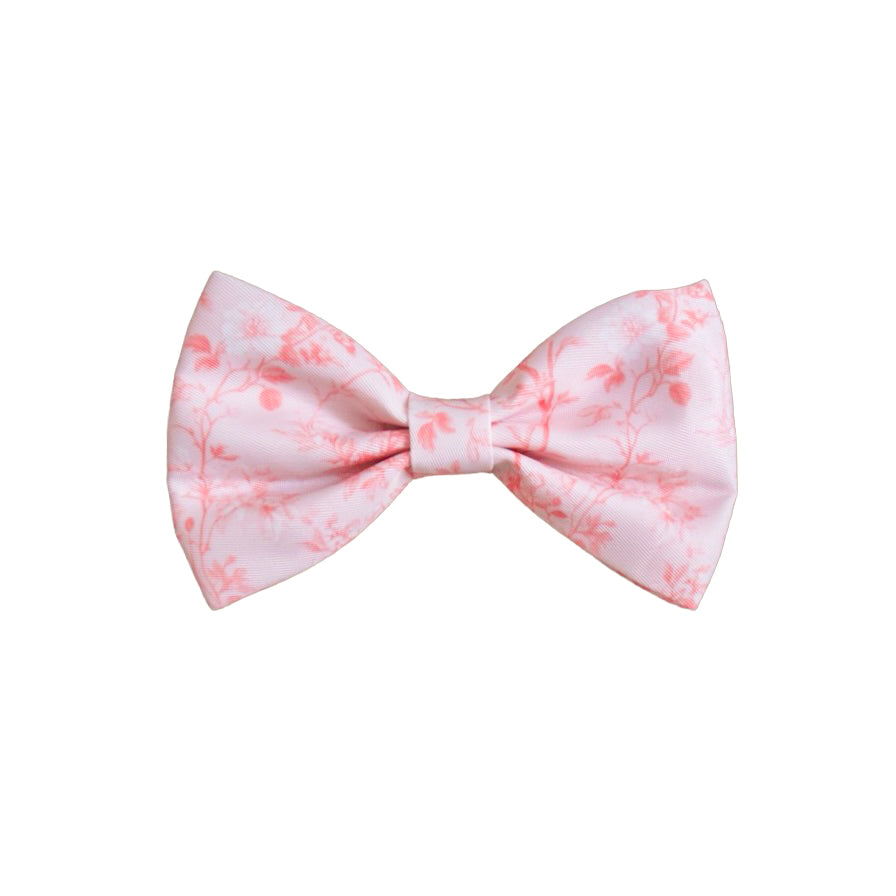 Magnolia Mist - Bow Tie