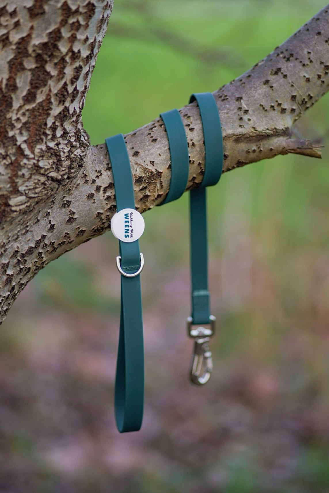 Alpine Green - Waterproof Lead