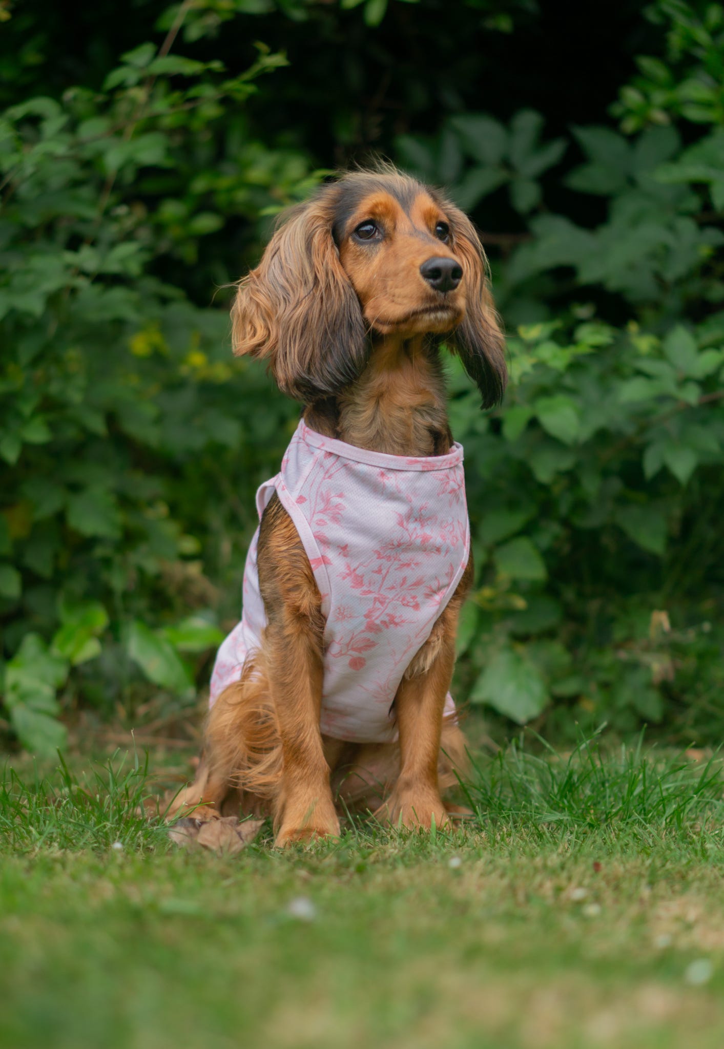 Magnolia Mist - Cooling Vest