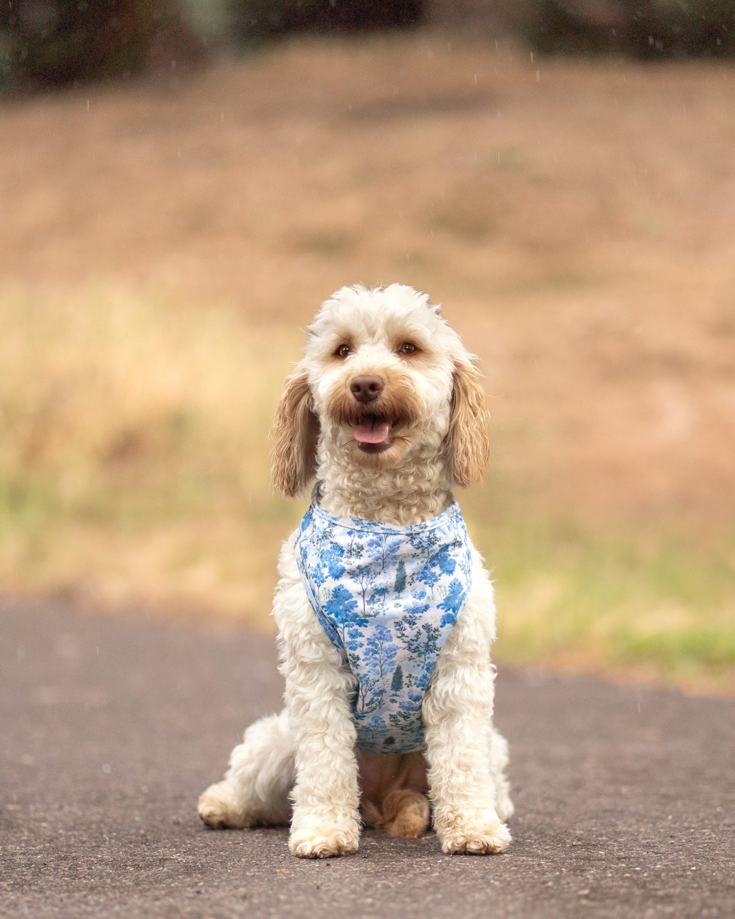 Whispering Willow - Cooling Vest