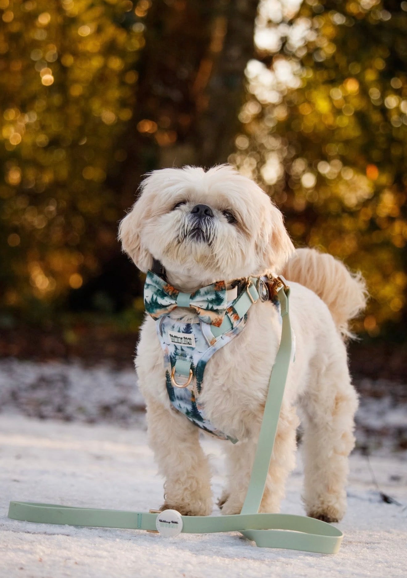 Sage Green - Waterproof Lead