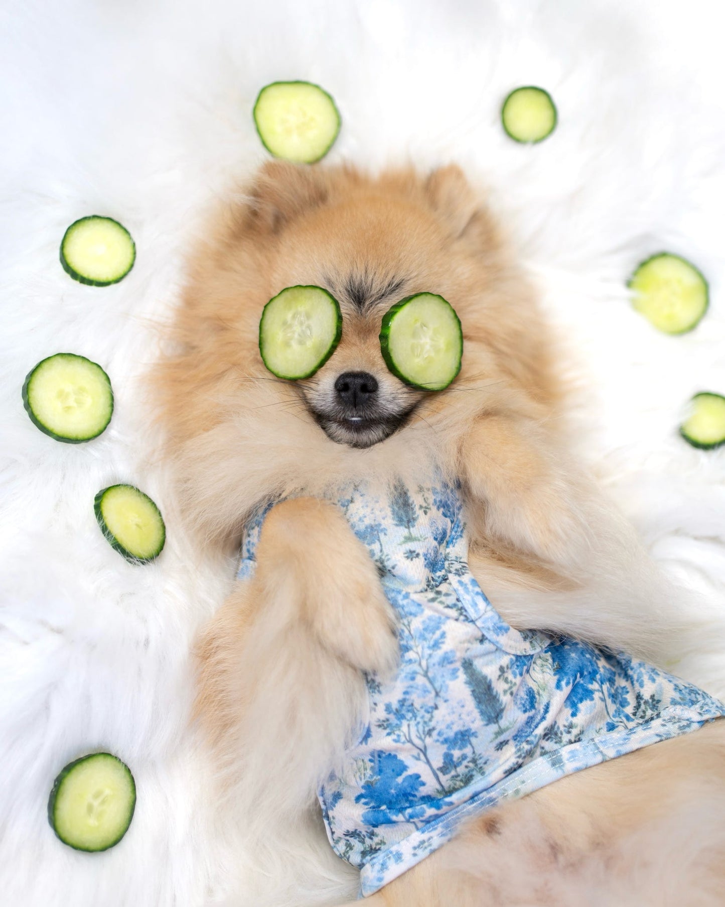 Whispering Willow - Cooling Vest