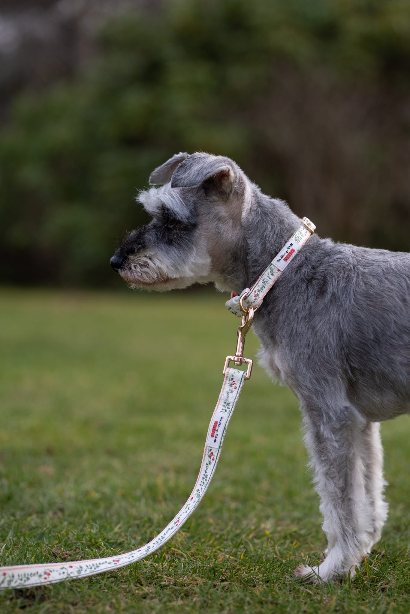 Berries and Bloom - Collar