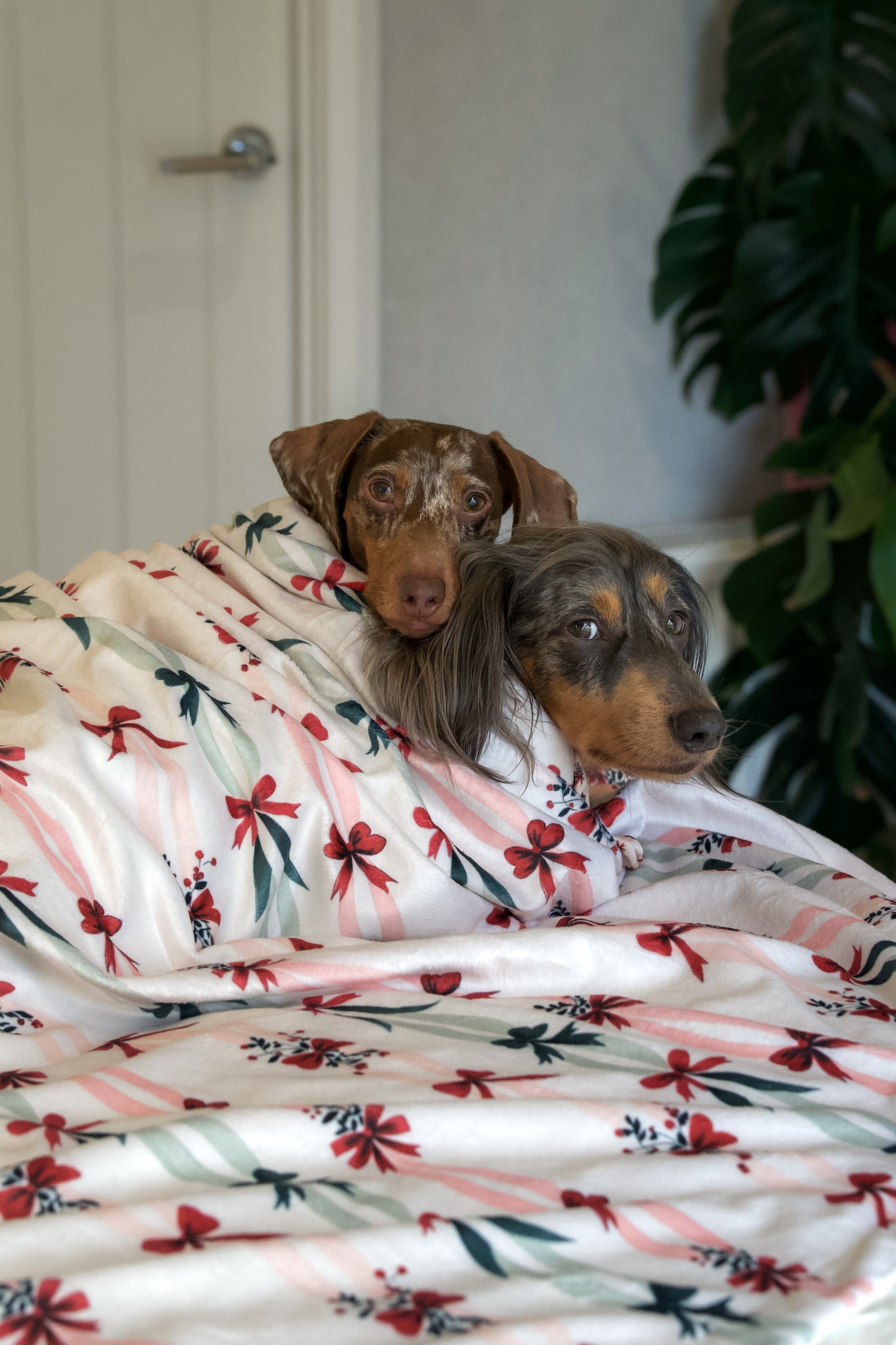 Classic Crimson - Snuggle Sized Blanket