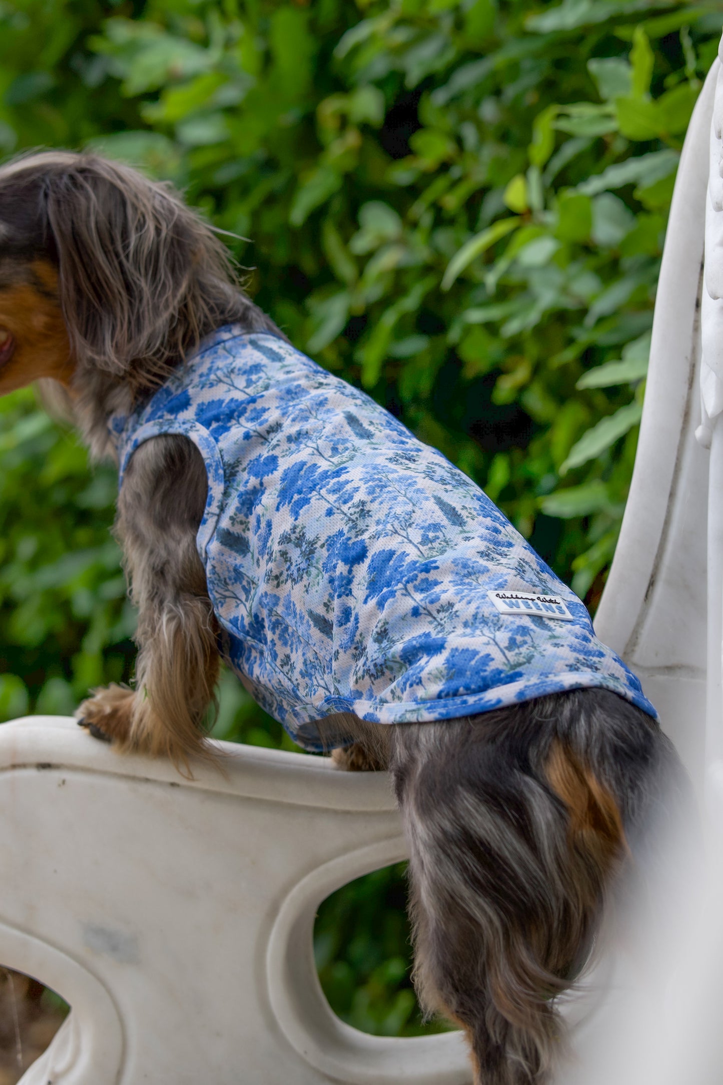 Whispering Willow - Cooling Vest
