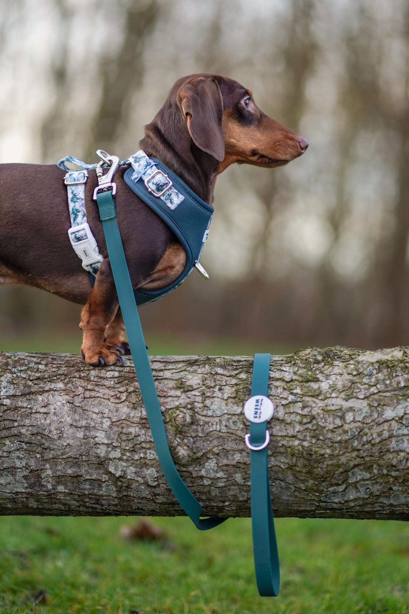 Alpine Green - Waterproof Lead