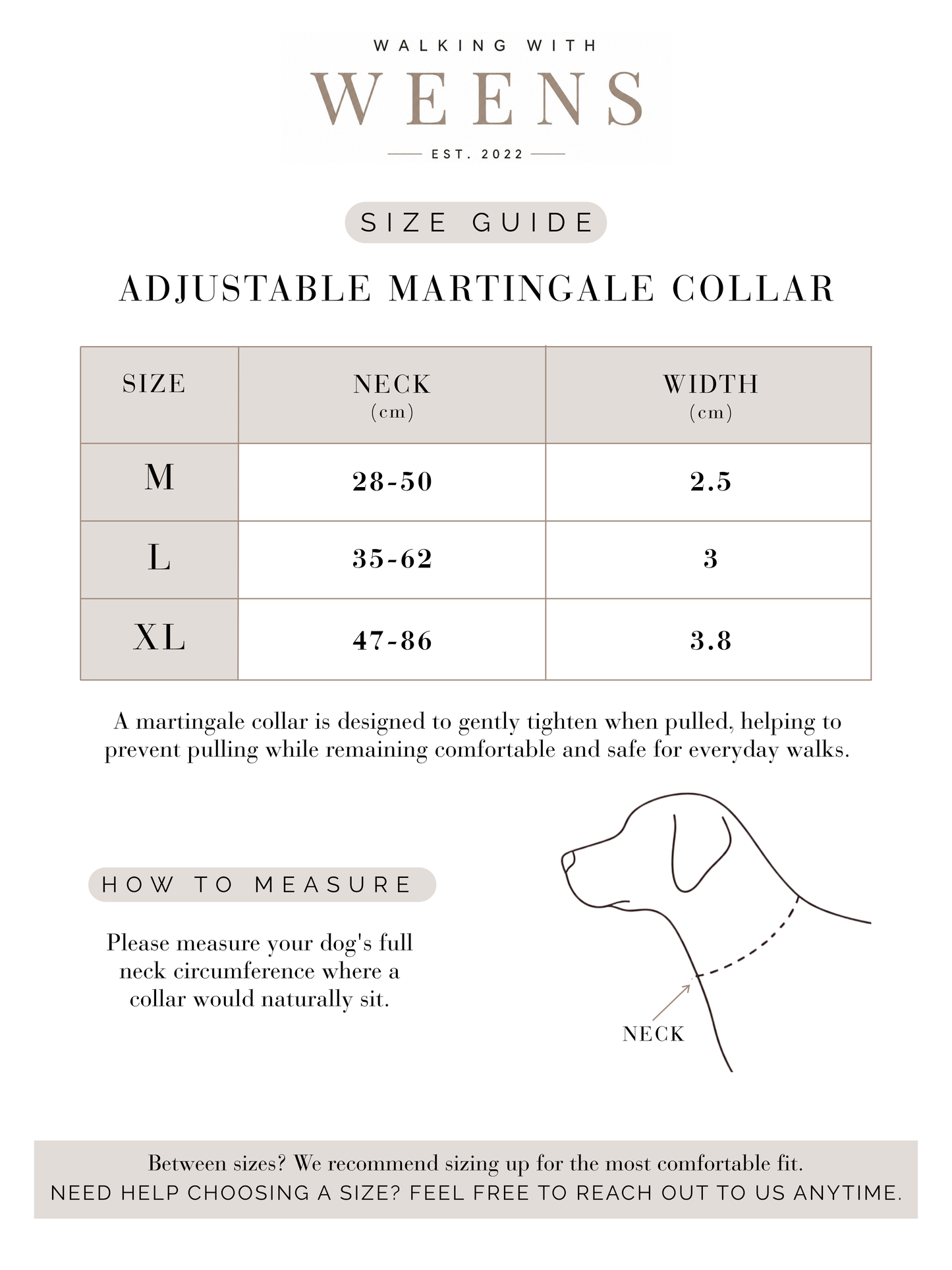 Blossom Bay - Martingale Collar