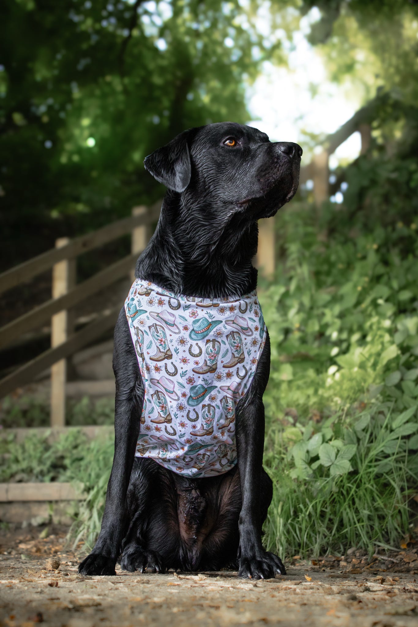 Cowboy Creek - Cooling Vest
