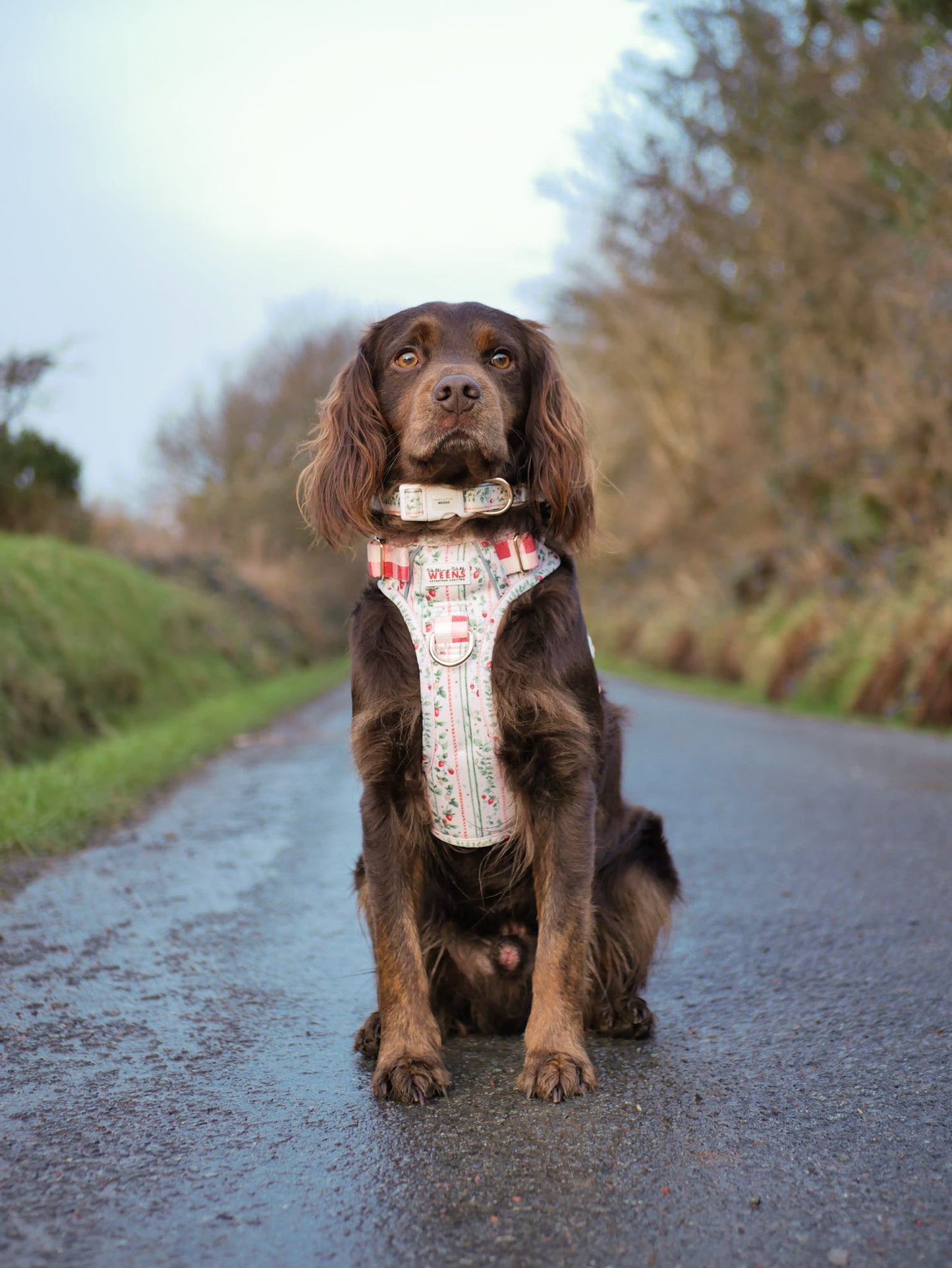 Berries and Bloom - Adventure Addition (See description)