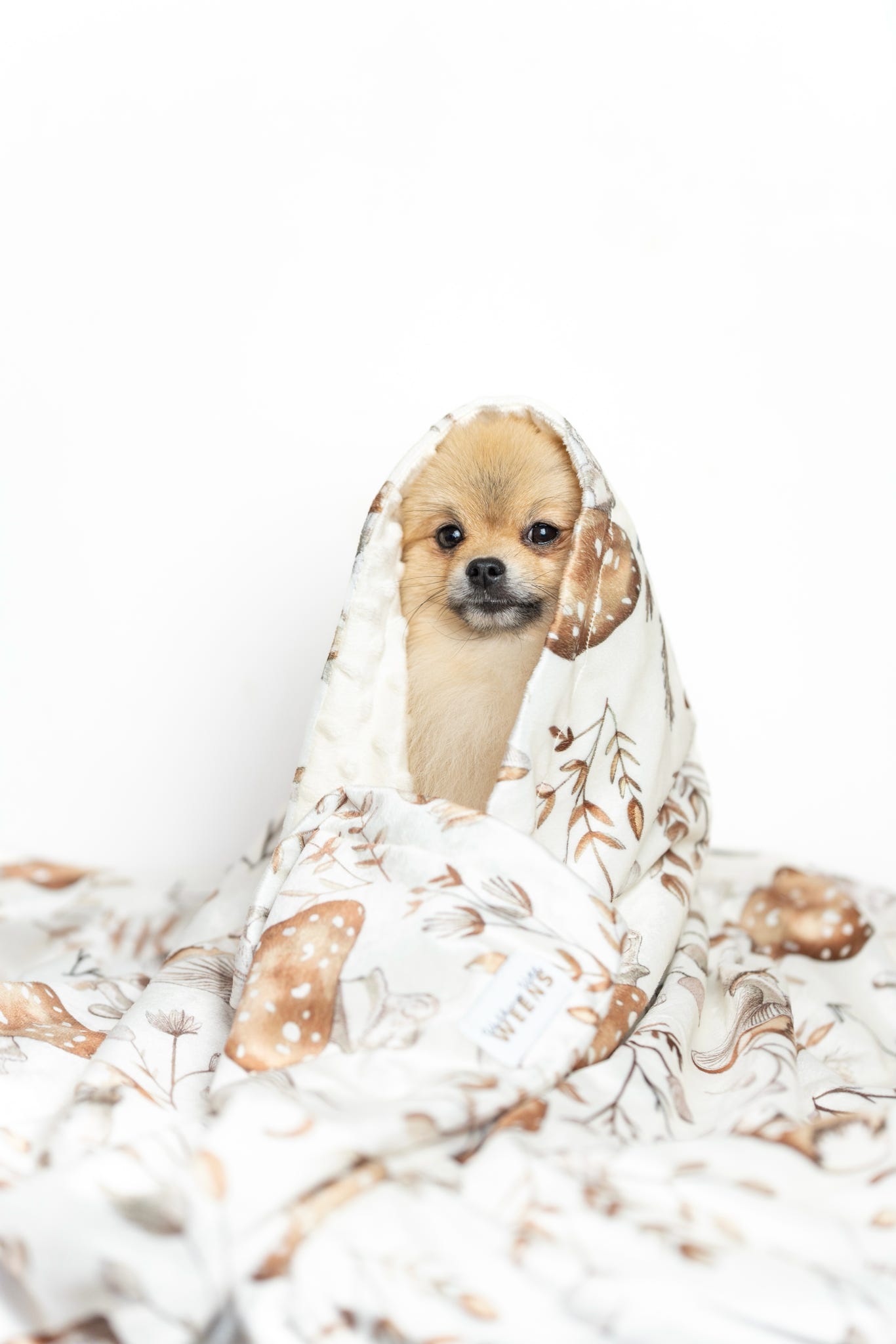 Sepia Shrooms - Snuggle Sized Blanket