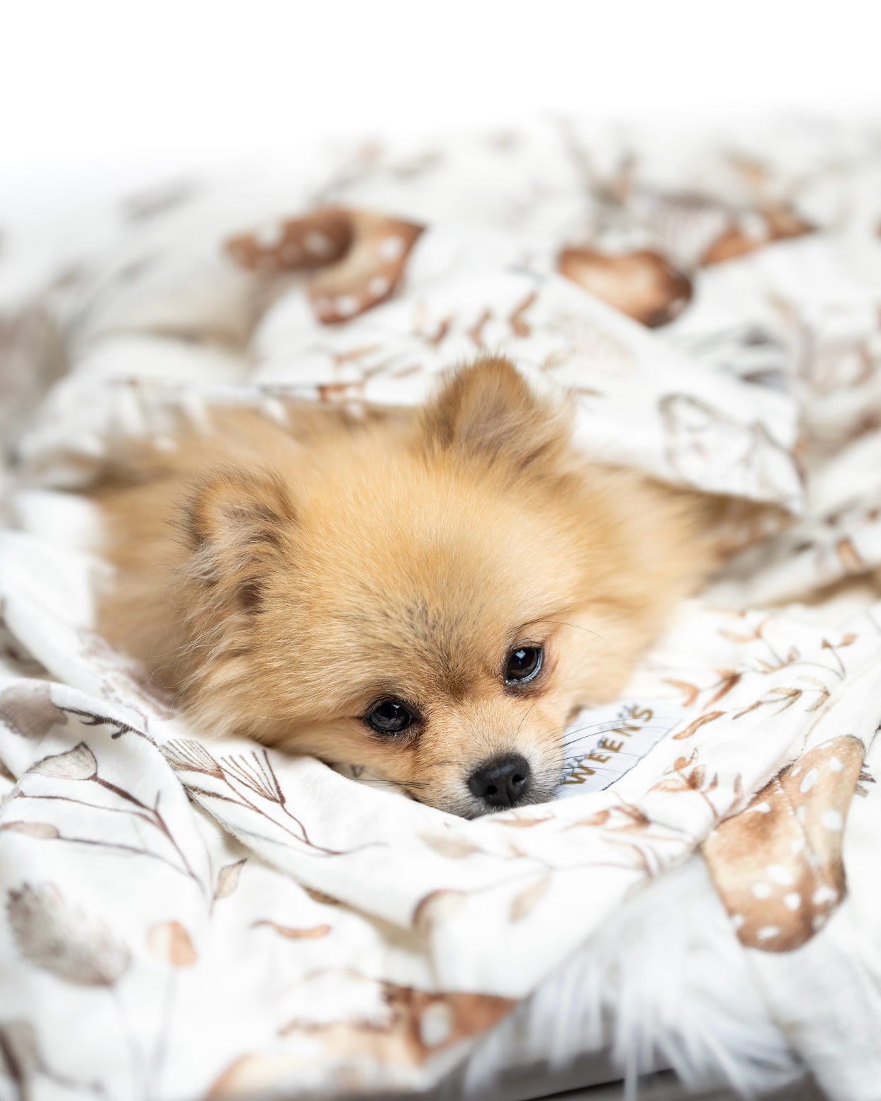 Sepia Shrooms - Snuggle Sized Blanket