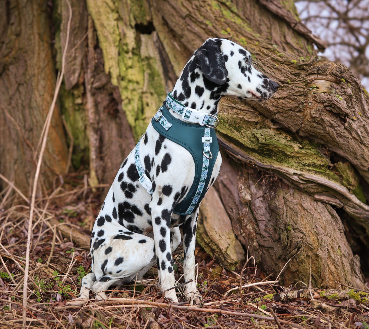 SECONDS - Hidden Highlands - Adjustable Harness