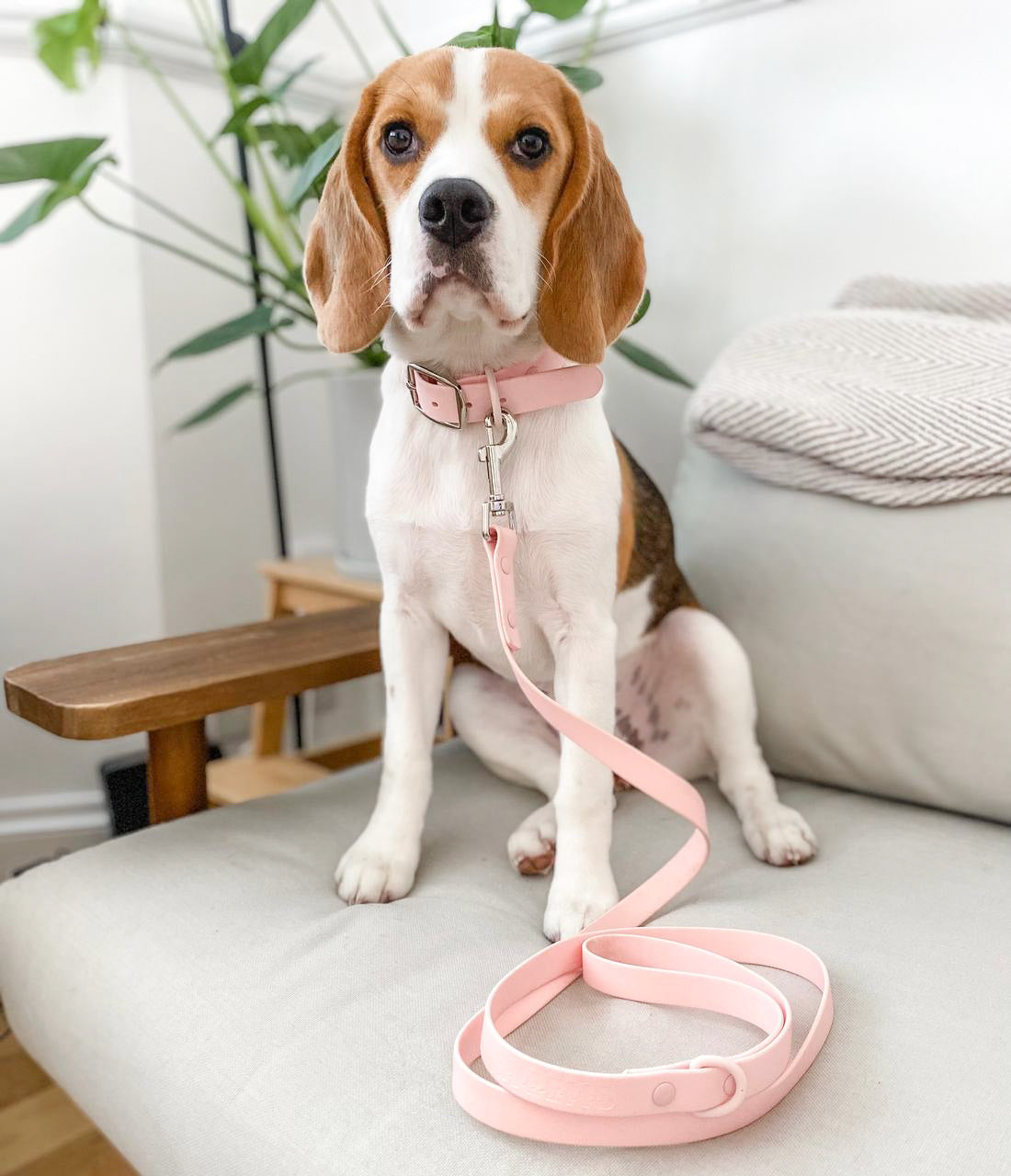 Waterproof Collar - Pastel Pink