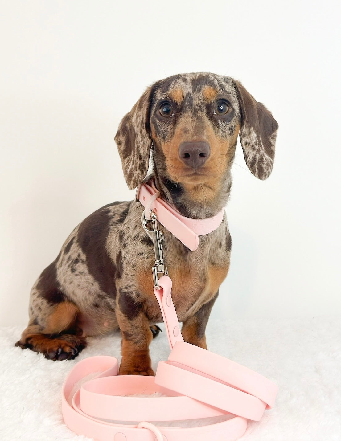 Waterproof Collar - Pastel Pink