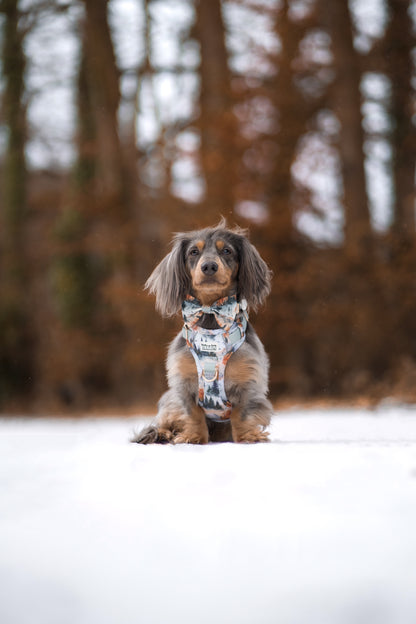 Pinewood Peaks - Adventure Addition