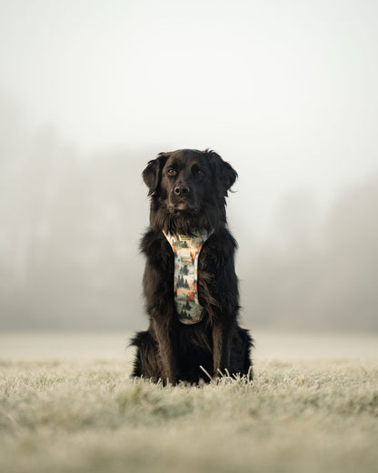 Pinewood Peaks - Adventure Addition