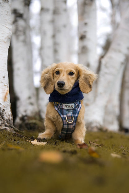 Frosted Flannel - Adventure Addition