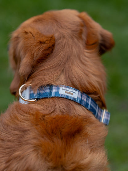 Frosted Flannel - Collar