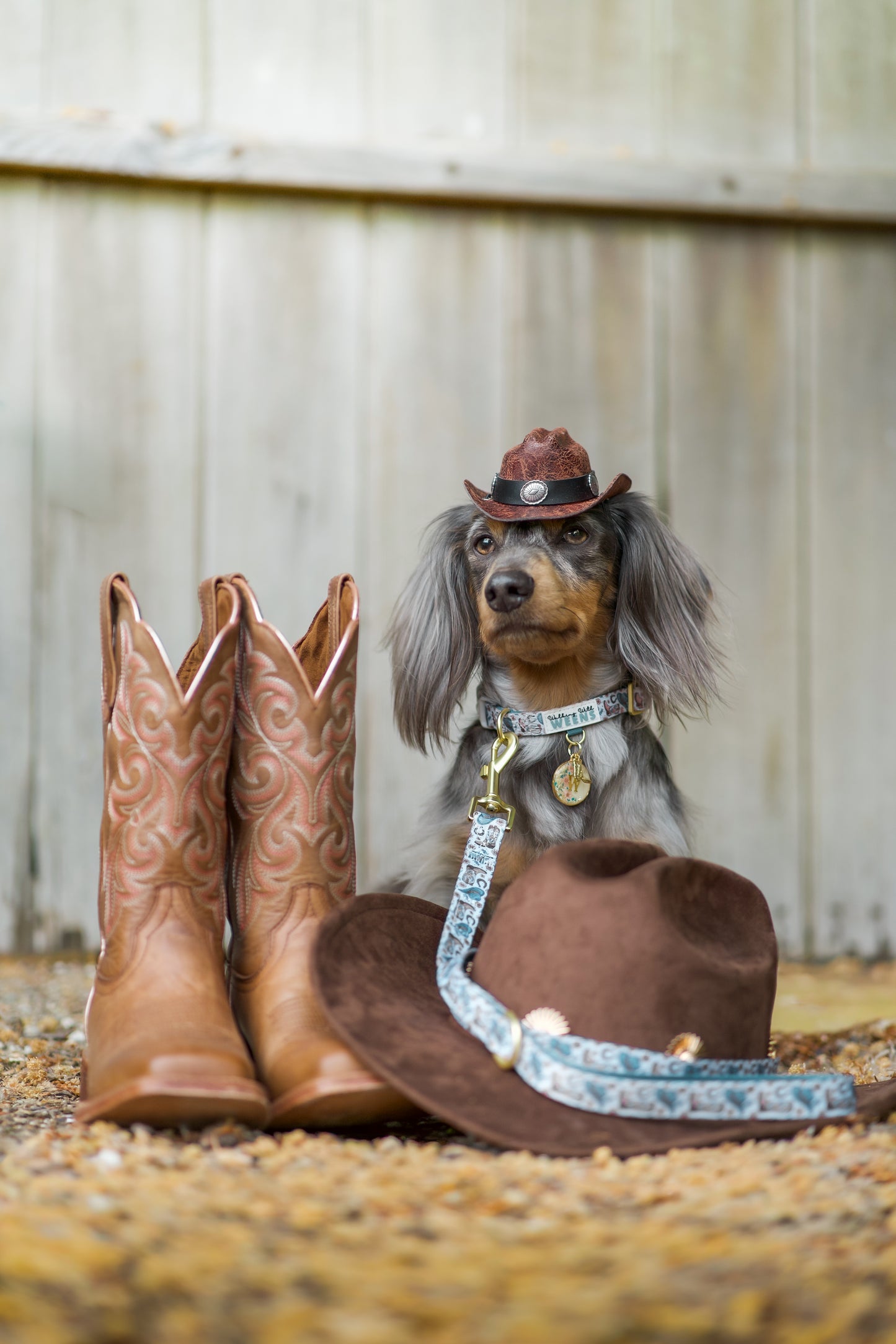 Cowboy Creek - Collar