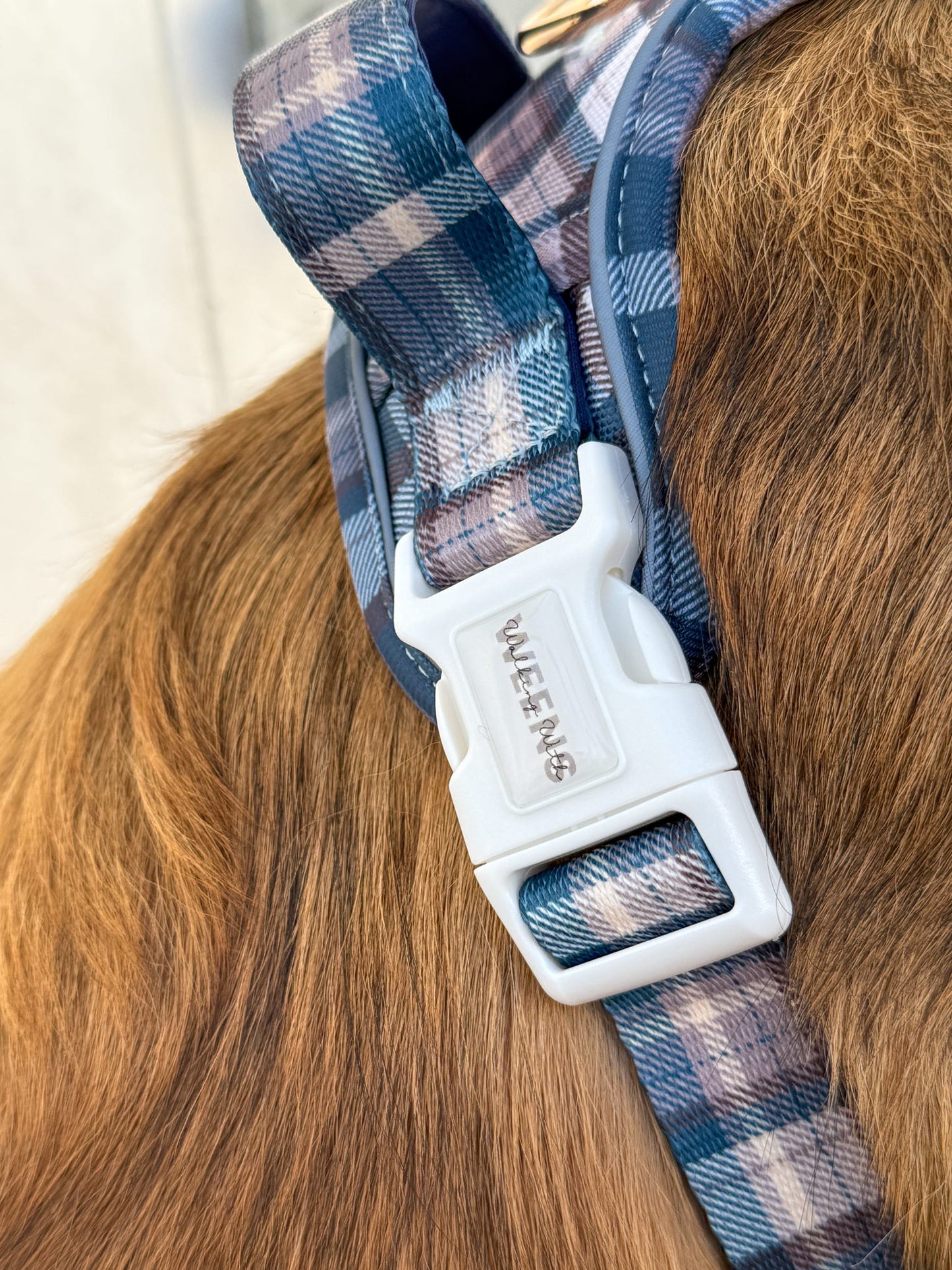 Frosted Flannel - Adventure Addition