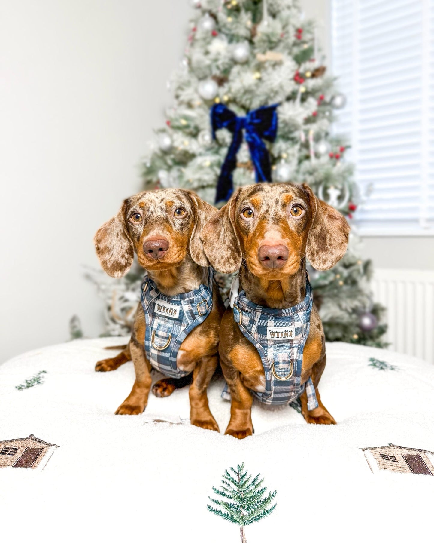 Frosted Flannel - Adventure Addition