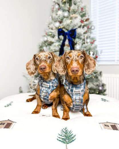 Frosted Flannel - Adventure Addition