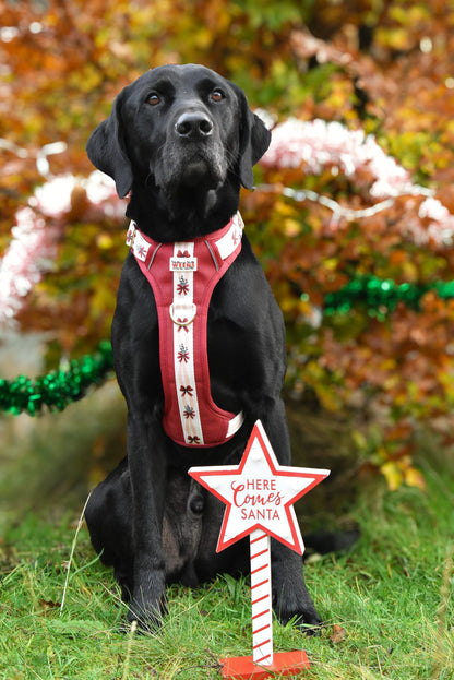 Classic Crimson - Adventure Addition