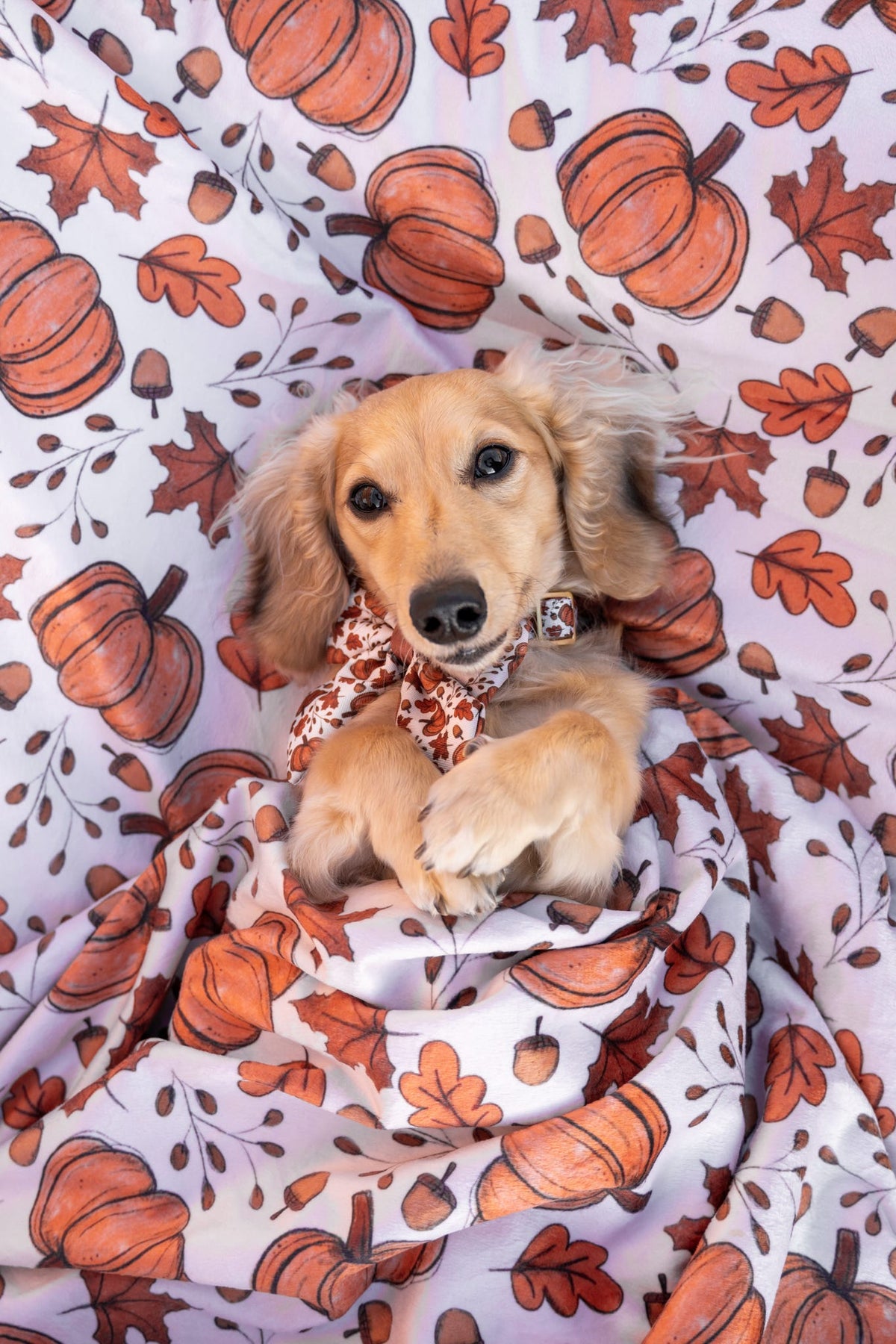 Autumn Nights - Snuggle Sized Blanket