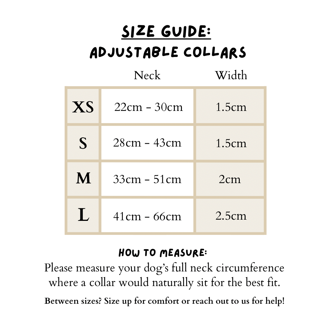 Berries and Bloom - Collar