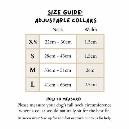 Berries and Bloom - Collar