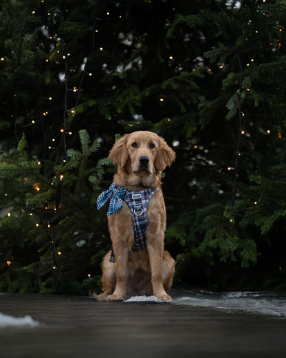 Frosted Flannel - Adventure Addition