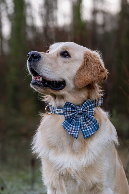 Frosted Flannel - Sailor Bow