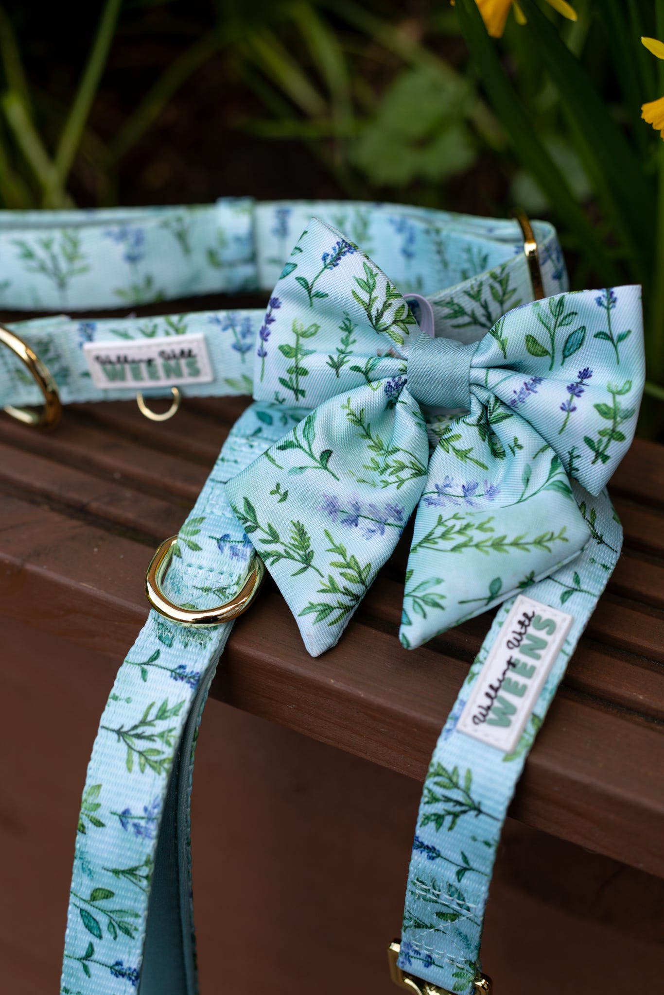 Sage Springs - Sailor Bow
