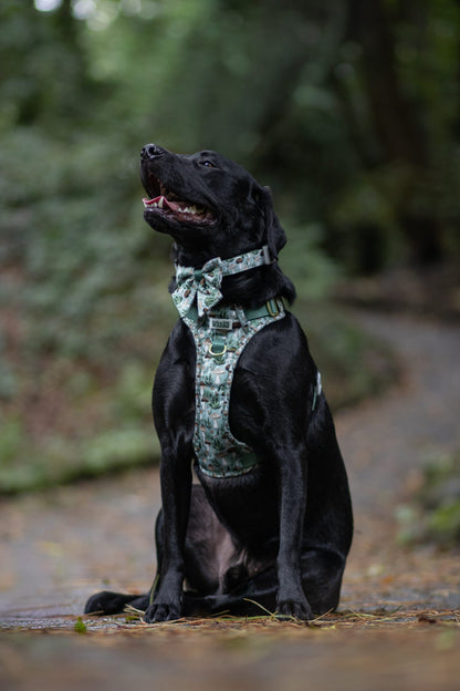 Fern Forest - Collar
