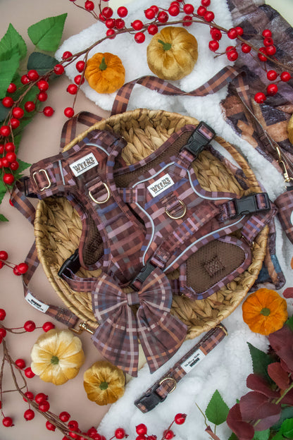 SECONDS - Paddington Plaid - Adventure Addition