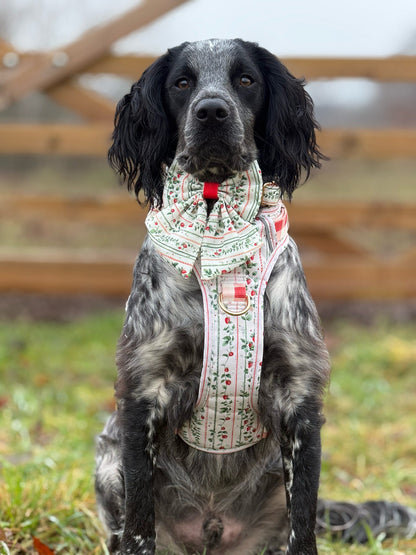 Berries and Bloom - Adventure Addition (See description)