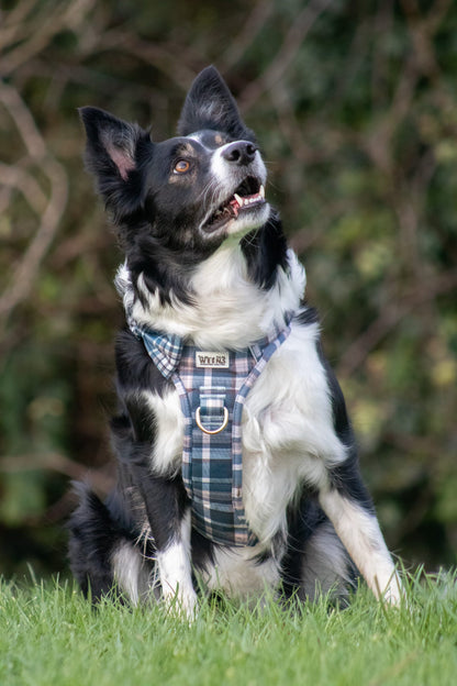 Frosted Flannel - Adventure Addition