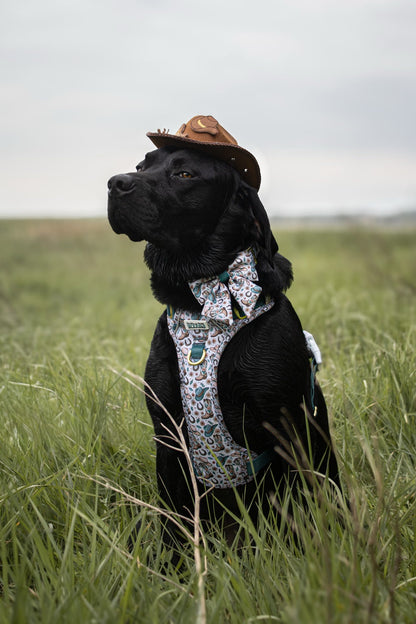 Cowboy Creek - Sailor Bow