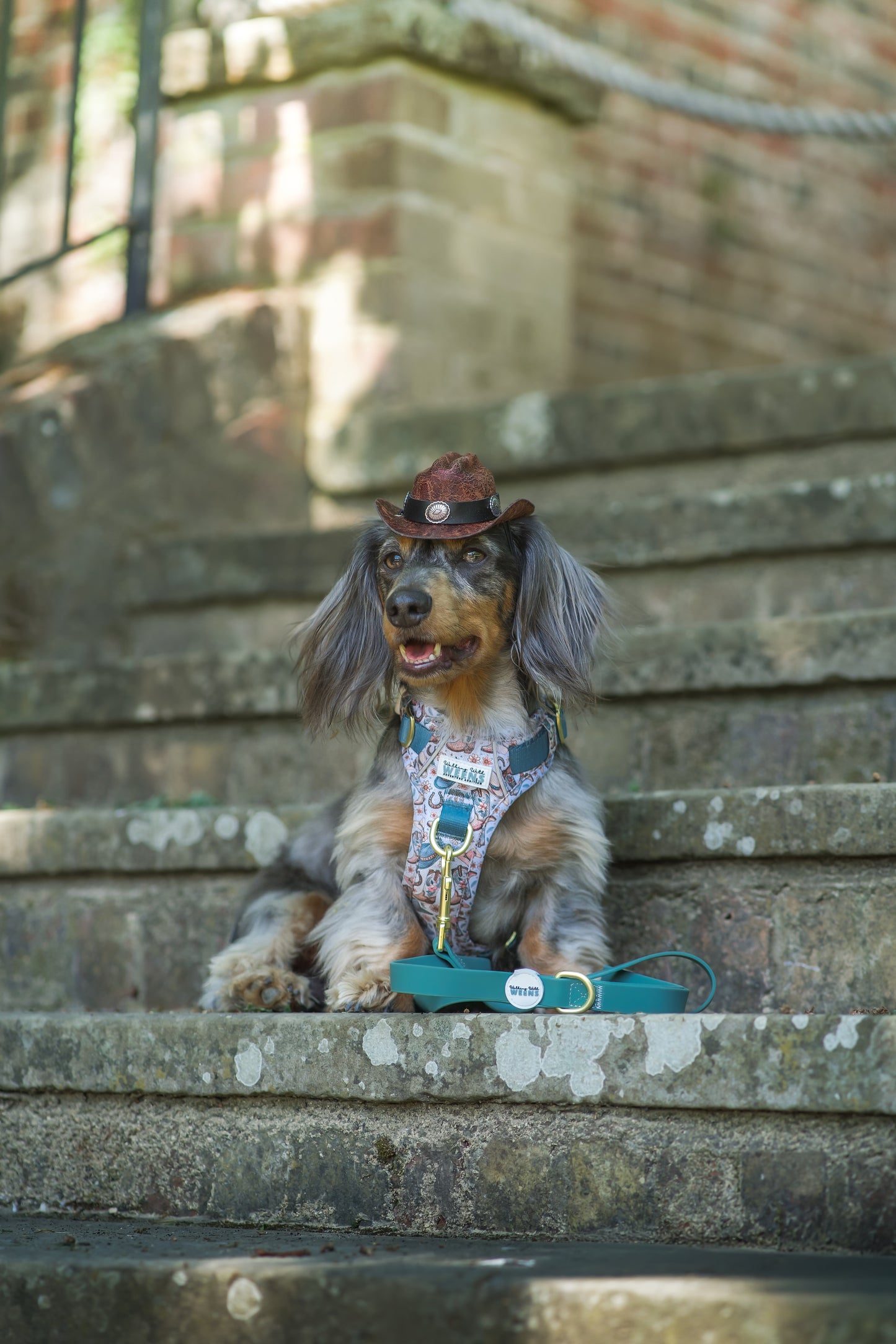 Teal Green - Waterproof Lead