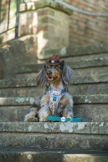 Teal Green - Waterproof Lead