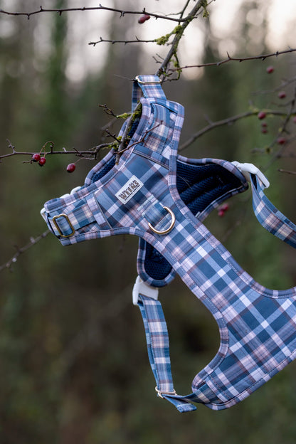 Frosted Flannel - Adventure Addition