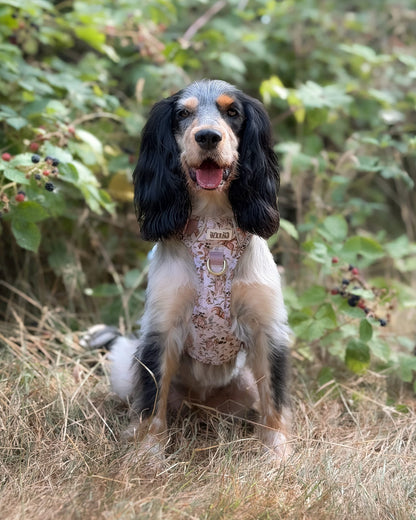 Bramble Burrows - Adventure Addition